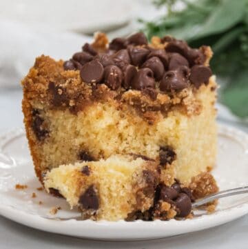 Chocolate chip coffee cake slice with cinnamon crumb topping and chocolate chips on a white plate.