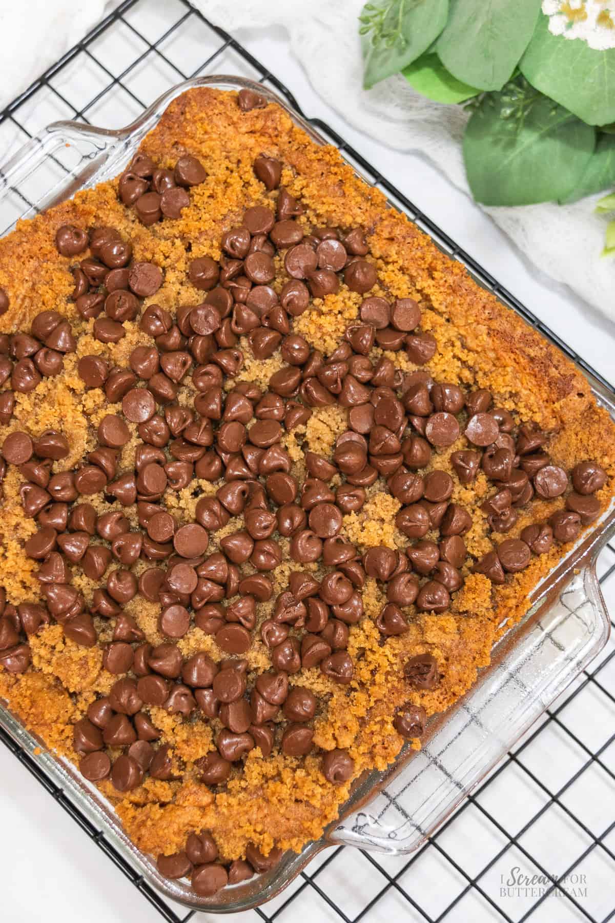 Overhead view of baked chocolate chip coffee cake in a glass pan with cinnamon crumb topping and melted chocolate chips.