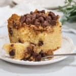 Chocolate chip coffee cake slice on a white plate with cinnamon crumb topping, chocolate chips, and a fork beside it.
