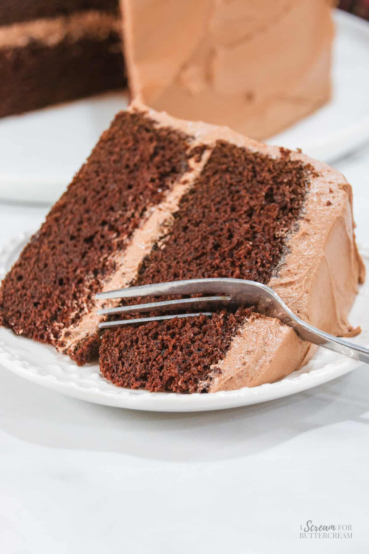 Slice of chocolate Nutella cake on a white dessert plate with Nutella buttercream frosting and a fork holding a bite of cake.