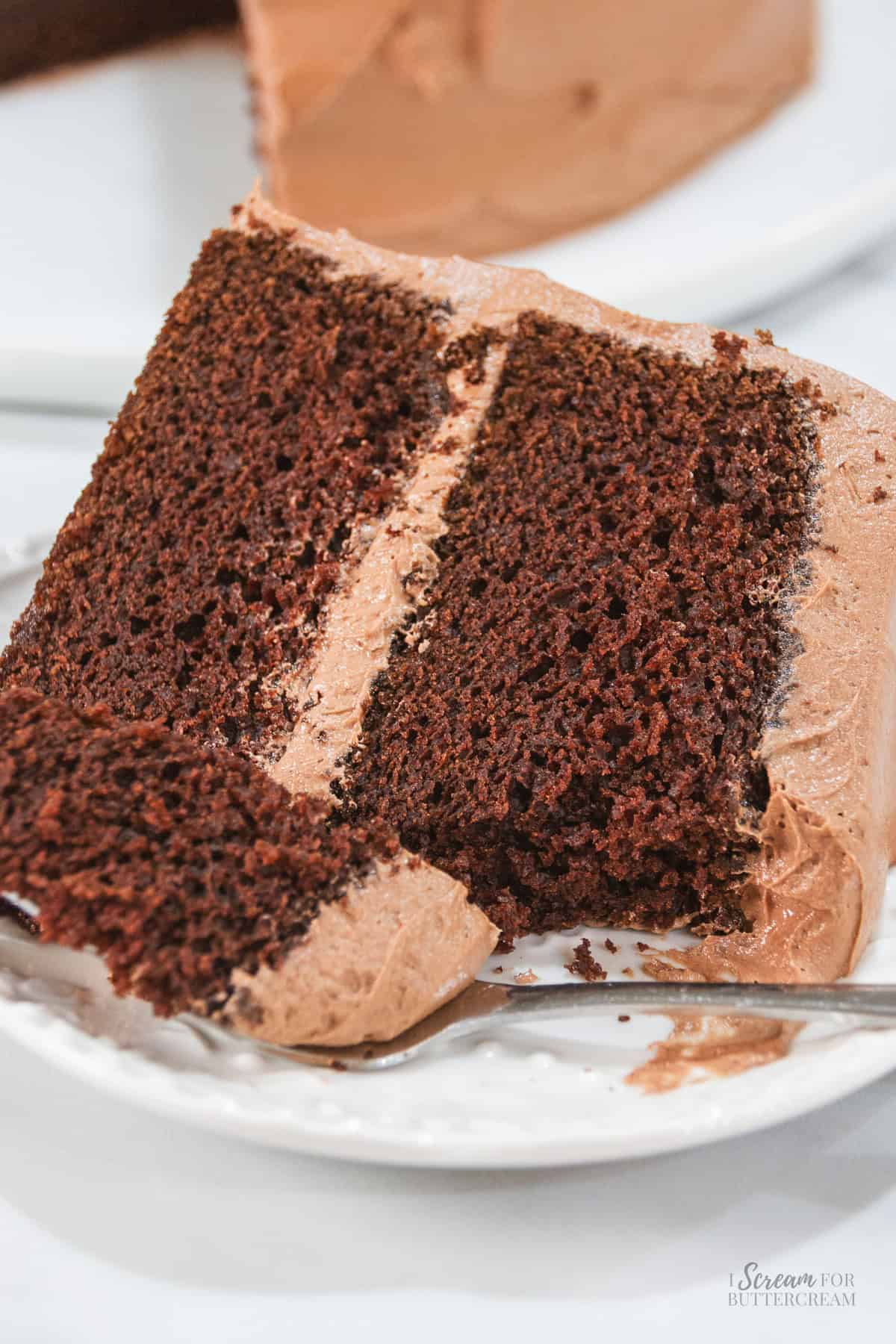 Close-up of a slice of chocolate Nutella cake with Nutella buttercream frosting, showing the moist chocolate crumb and creamy filling.